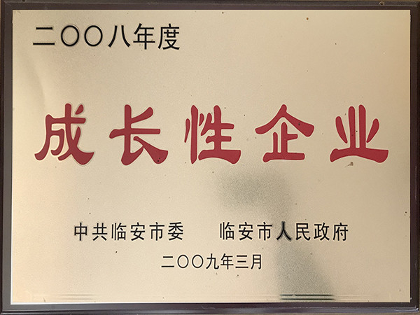 2008年度成長(zhǎng)性企業(yè)