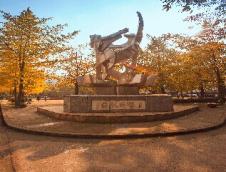 重慶郵電大學生物信息學院2019年碩士研究生招生專業目錄