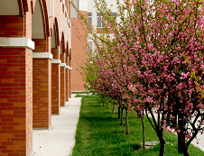 鄭州大學研究生院關于編制2020年研究生招生專業目錄的通知