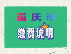 重慶市2020年碩士研究生招生考試網上支付注意事項