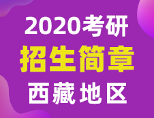 【研線網匯總】西藏地區各大院校2020年碩士研究生招生簡章