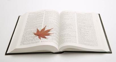 2021考研：備考初期之英語